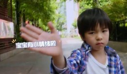 张庭赚钱爆料视频,揭秘她如何通过视频实现巨额盈利