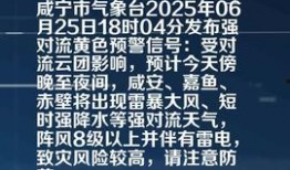咸宁今日爆料,揭秘当地热点事件背后的真相